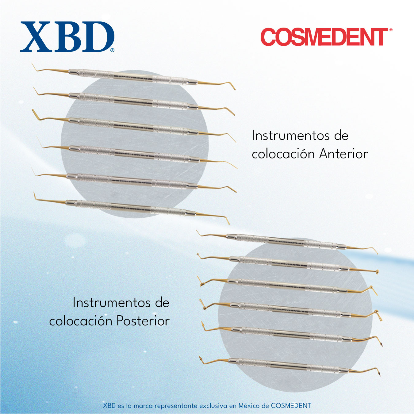 Cosmedent Kit Completo Anterior Posterior